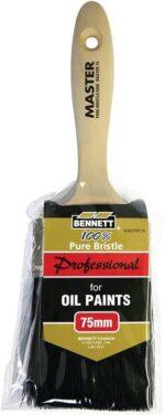 Master Prof. Bristle Brush