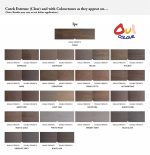 Cutek Exterior Stain Colourtone - Image 6